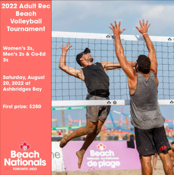 Adult Rec Volleyball Tournament