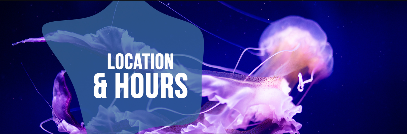 EARLY CLOSURE: 6:00 PM