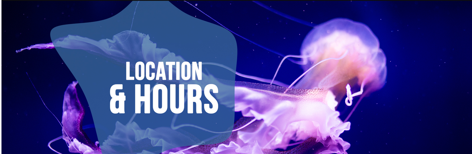 EARLY CLOSURE: 5:00PM