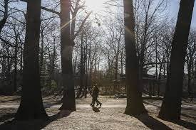 Saturday morning walks to get to know fellow Torontonians & learn history in TO!