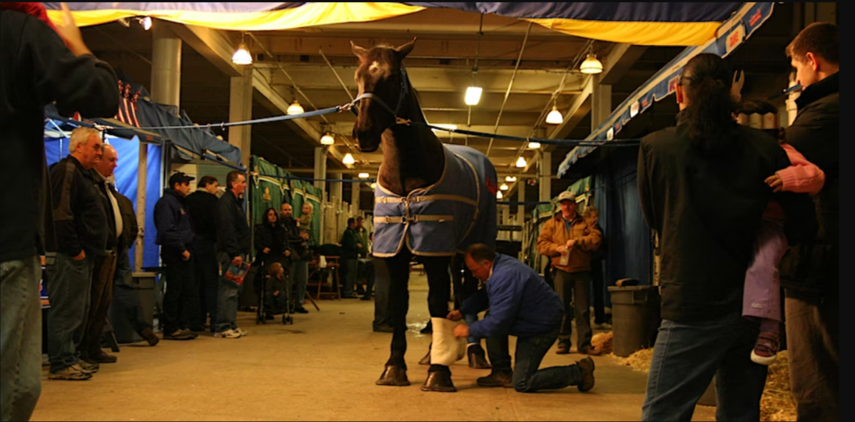 Canadian Show Jumping Championship and Horseware® Eventing Challenge