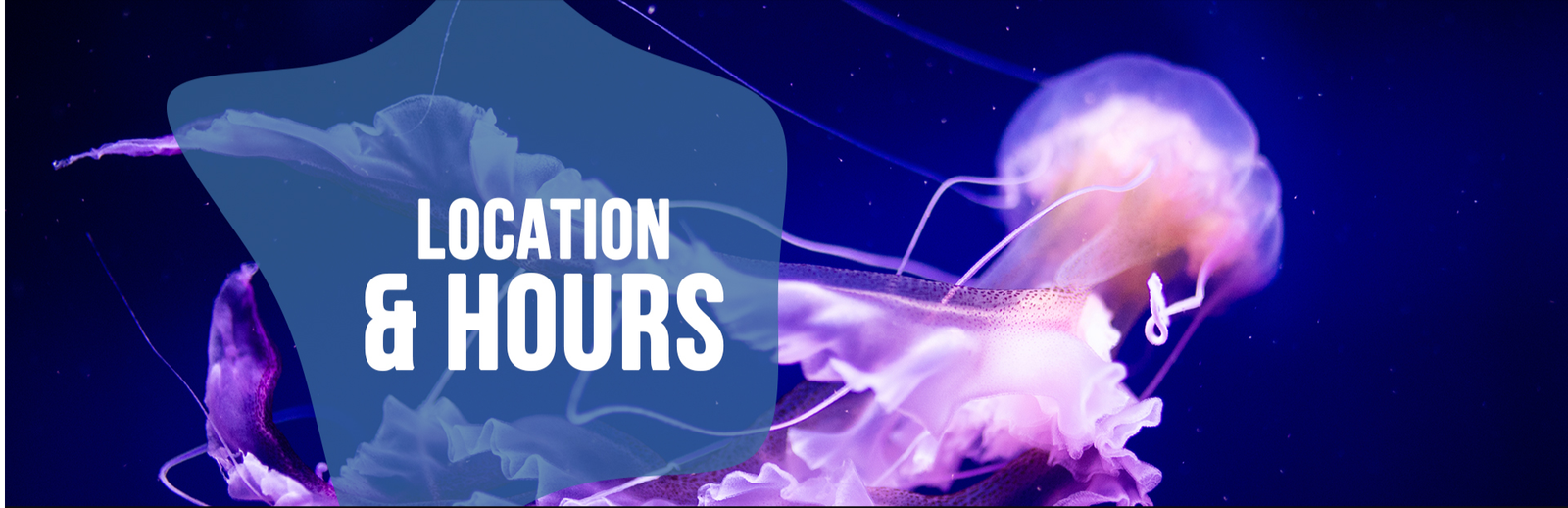 EARLY CLOSURE: 6:00PM