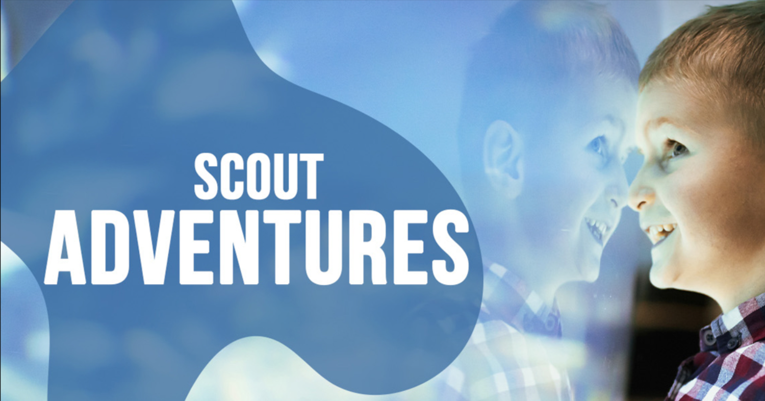 SOLD OUT: Scout Sleepovers