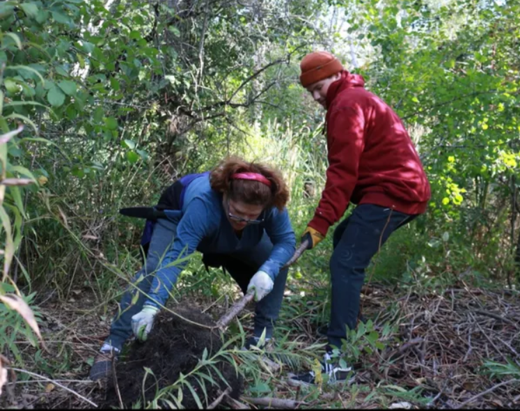 Let’s bust buckthorn!
