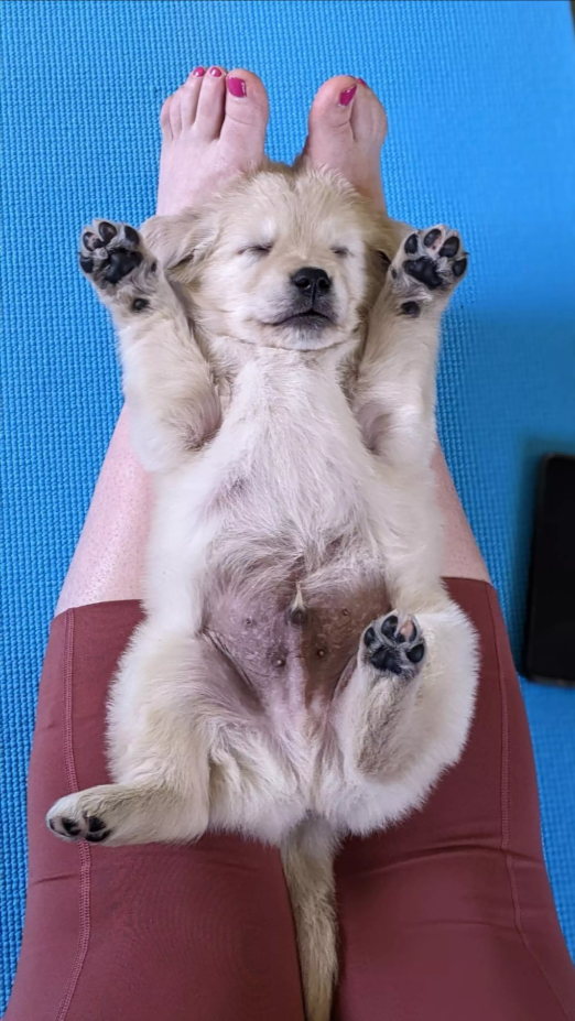 Puppy Love Yoga