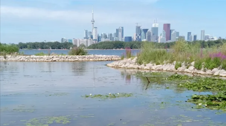 Kayak Tour – Cherry Beach to Tommy Thompson Park