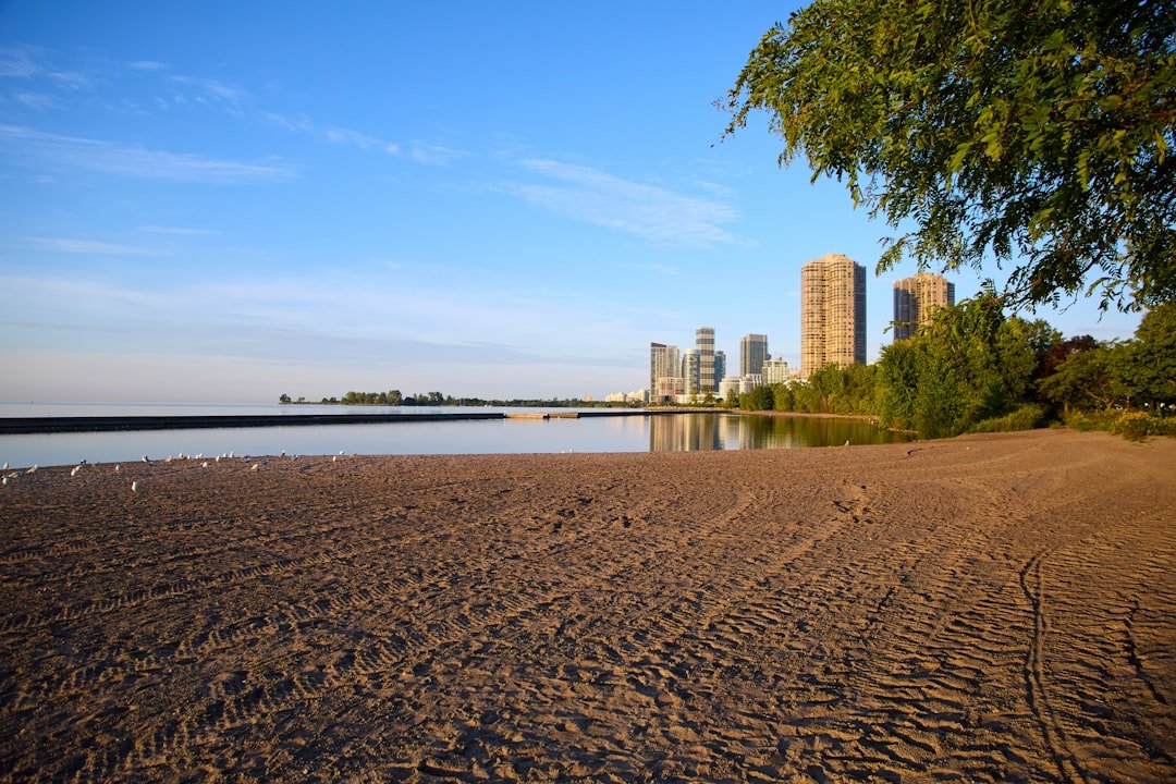 Mastering the First Impression: Your intriguing post title goes here Wide sandy beach by Lake Ontario with Toronto Condo towers in the background