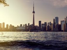 The Toronto Beaches Home Banner
